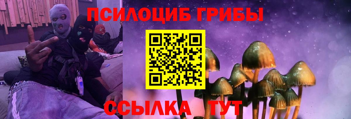 Псилоцибиновые грибы Magic Shrooms  Псилоцибиновые грибы Psilocybe  Вход с VPN  Железногорск 