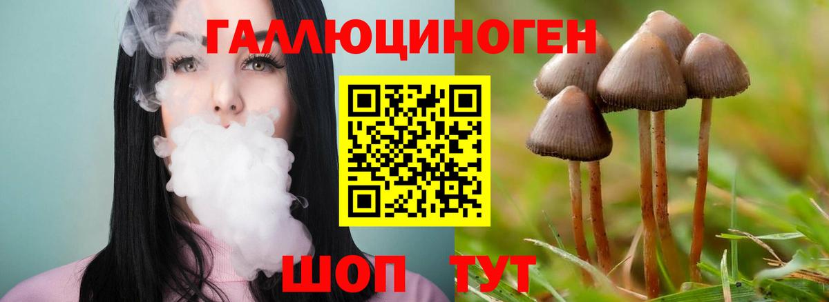 Псилоцибиновые грибы мицелий Железногорск